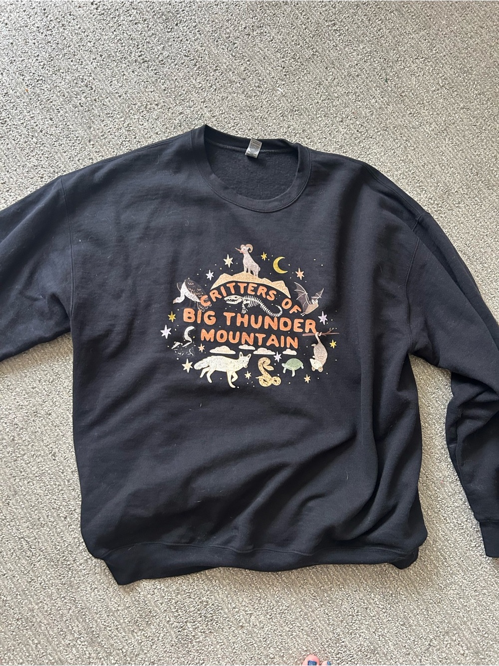 Disney parks big thunder mountain sweatshirt